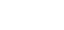 Vision Engineering 로고